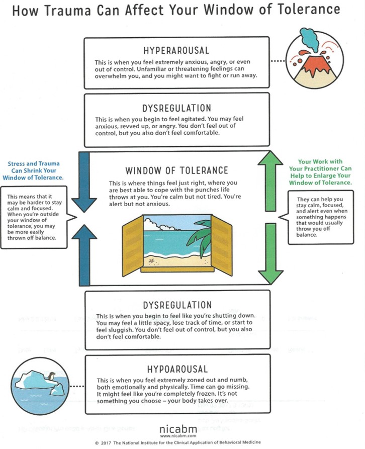 Window of Tolerance - Nicabm